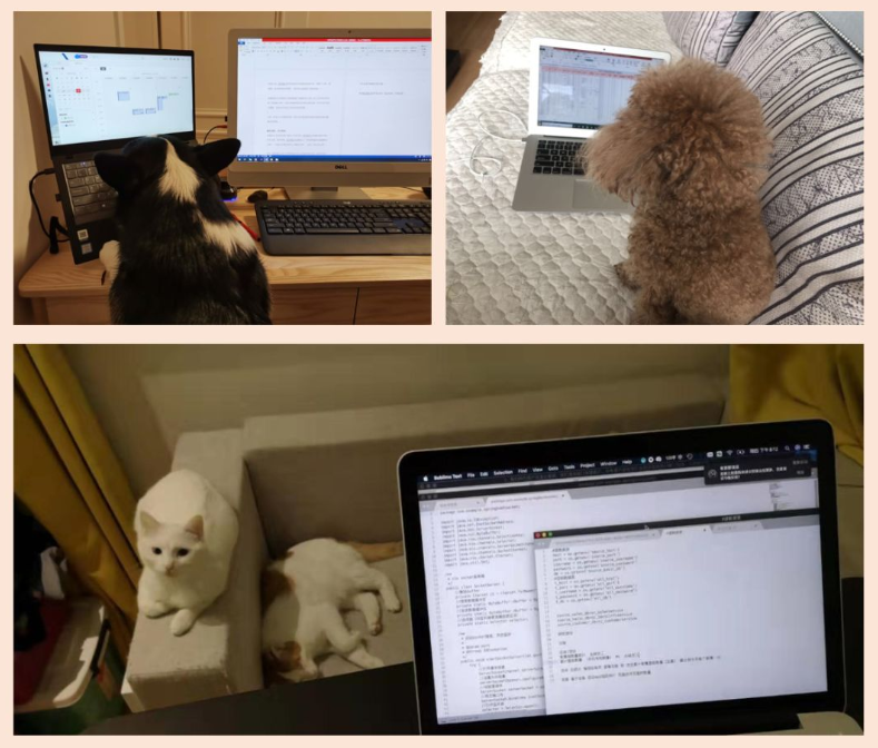 一家養老數字化公司的在家辦公之旅(圖4) 一家養老數字化公司的在家辦公之旅(圖4)